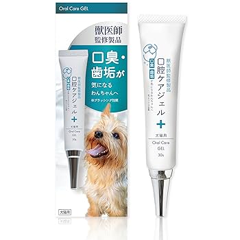 犬と猫の歯科診療　スケーリング、 抜歯　新品 犬と猫の歯科診療 スケーリング、 抜歯 新品