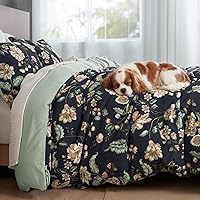 Vista 31 de PHF - Juego de funda de edredón de terciopelo auténtico tamaño individual, juego de funda de edredón ultra suave y transpirable de 2 piezas