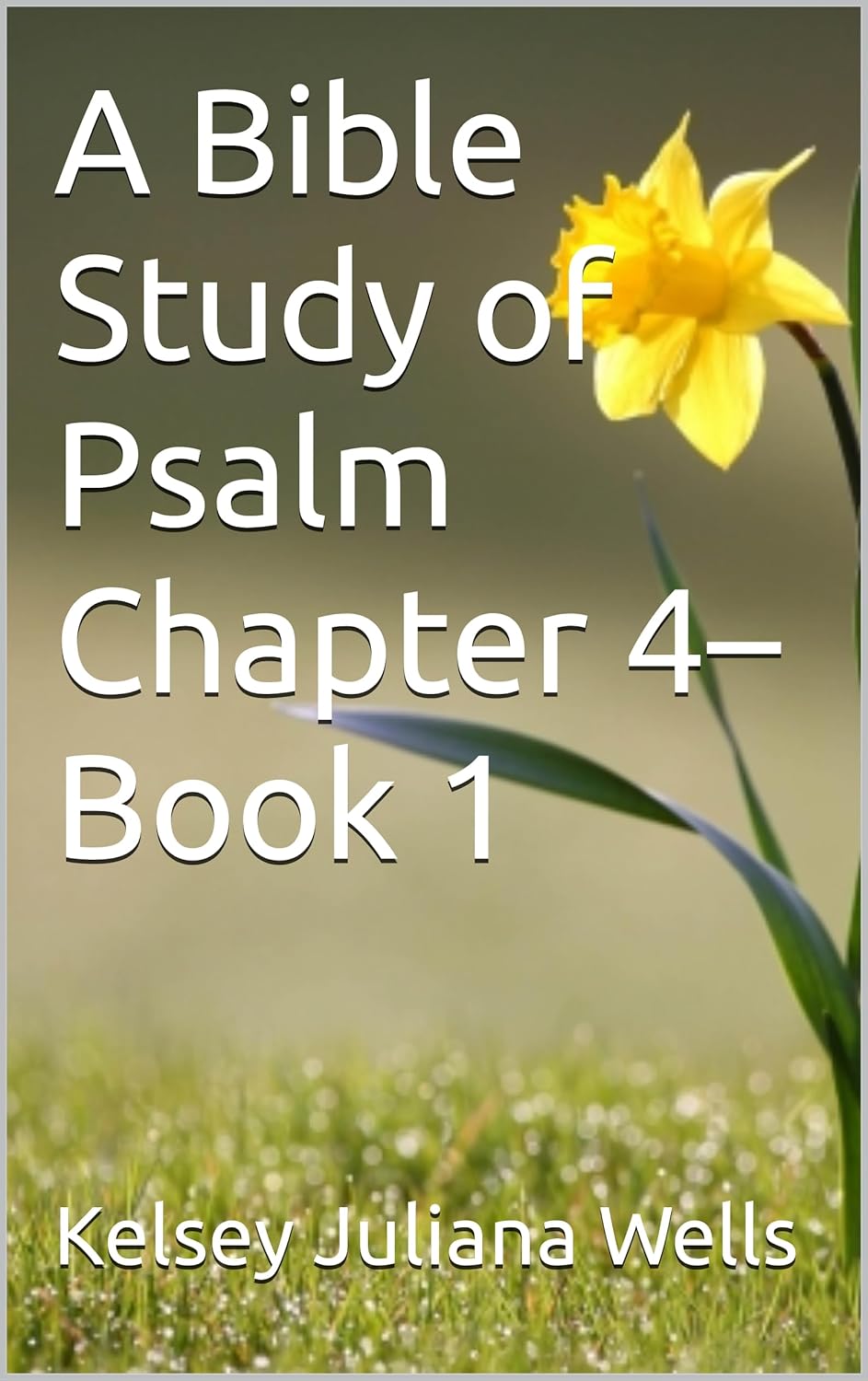 Amazon A Bible Study Of Psalm Chapter 4 Book 1 EBook Wells Amazon a bible study of psalm chapter 4 book 1 ebook wells