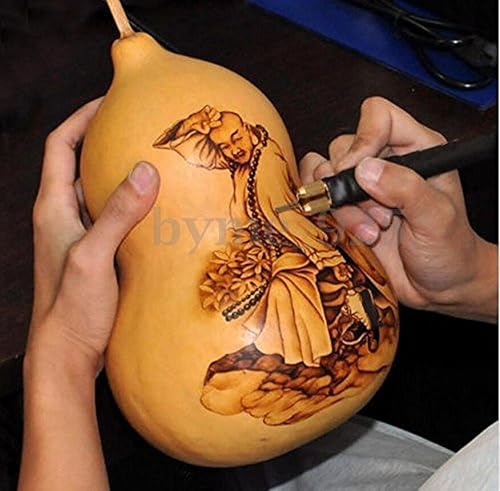 Miniatura 3 de TOPCHANCES Kit de quemado de madera, 110 V, 50 W, kit de máquina de pirografía de doble pluma con 23 puntas de alambre de pirografía para