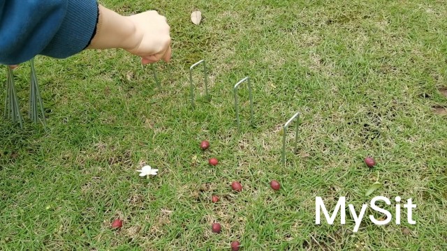 Amazon.com : Mysit 100x 6-Inch Galvanized Ground Garden