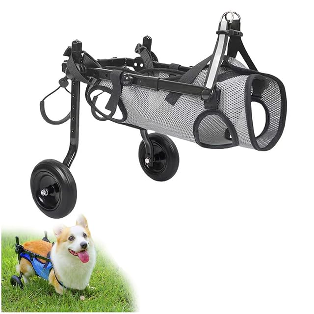Silla De Ruedas Para Perros,Patas Traseras,2 Ruedas,Ayuda Caminar Una Pata Delantera Lesionada…