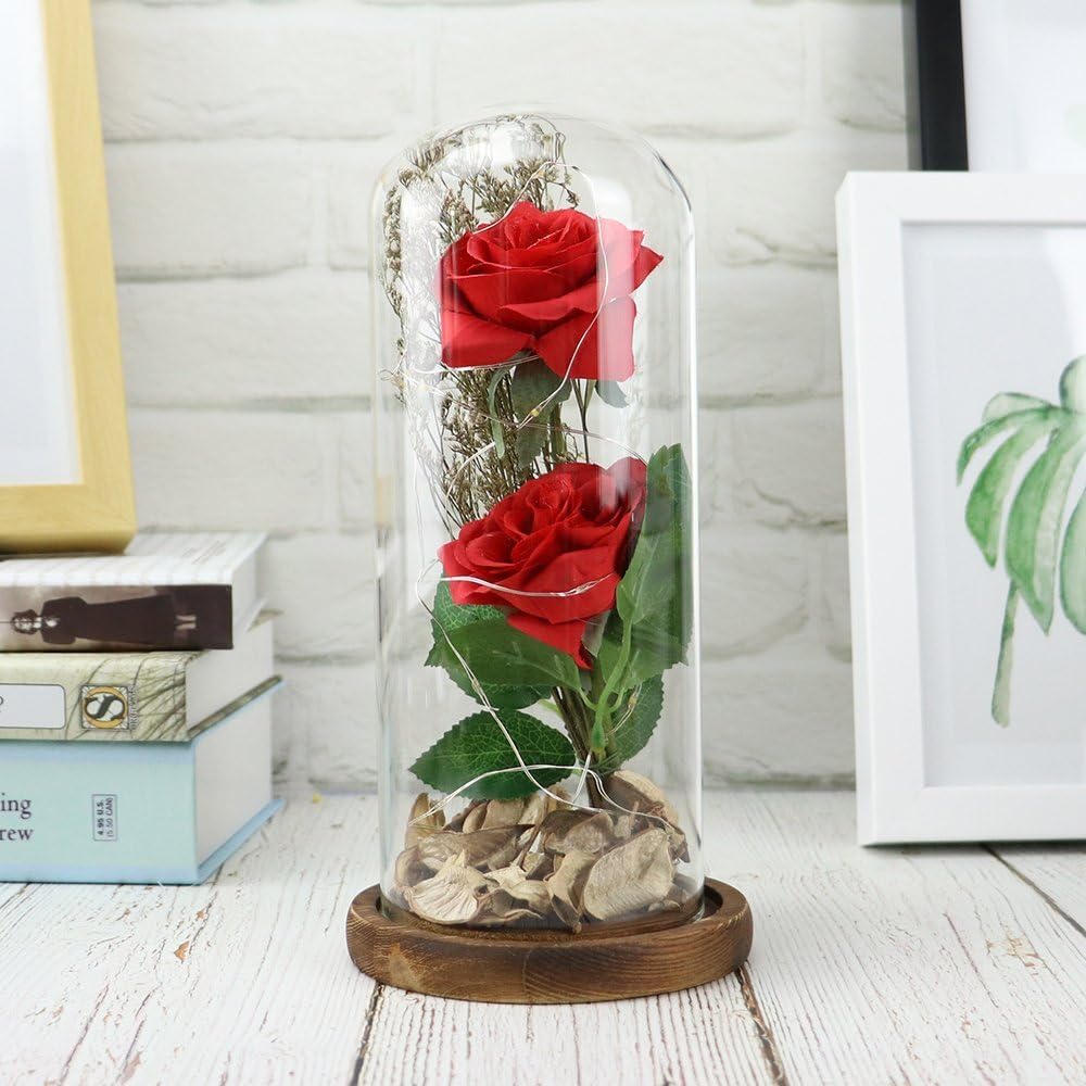 Beauty and The Beast Rose, Enchanted Rose Artificial Silk Rose Flower in Glass Dome with LED Light Wooden Base for Valentine's Day Wedding Anniversary Birthday Gift