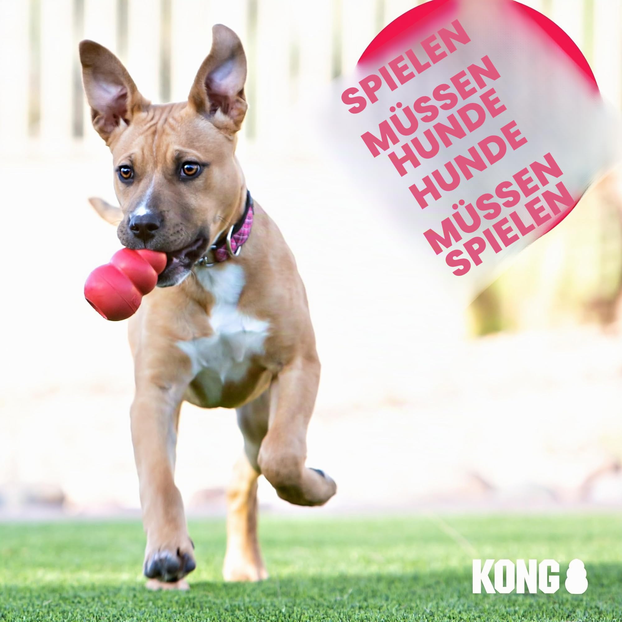 KONG – Cozie Marvin Moose – Quietschendes Hundeplüschtier für Drinnen – Für Sehr Große Hunde