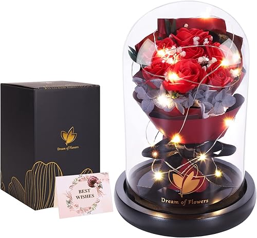 Regalos de rosas de Navidad para mujeres, regalos de cumpleaños, rosa de la Bella y la Bestia en cúpula de cristal con 2 modos de luz, ramos de