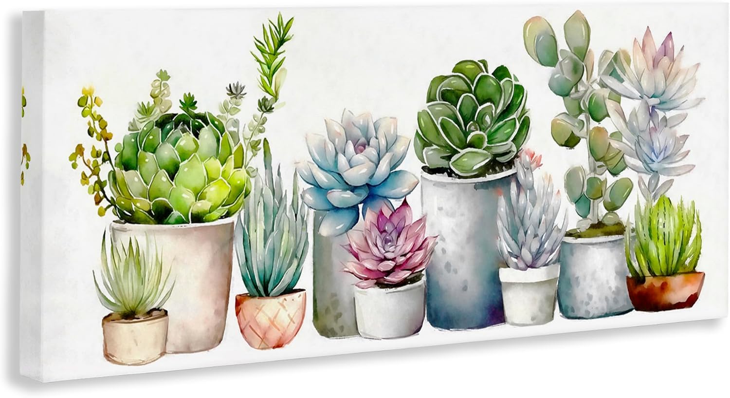Stupell Industries 'Varied Succulent Garden Soft Hues', Canvas Art, 24 x 10 Inches, Easy to Hang and Sturdy, Made in USA, by Ziwei Li
