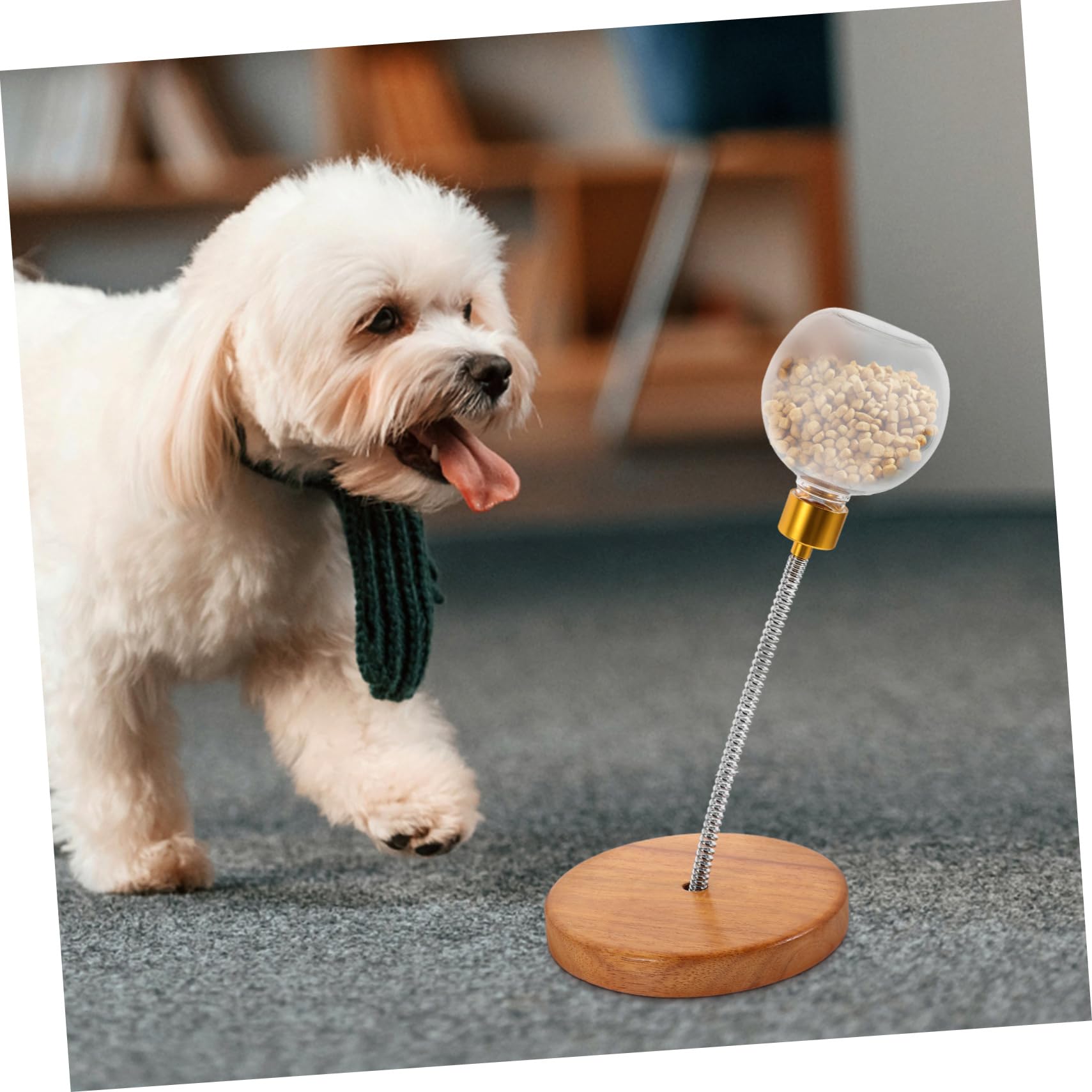 WOONEKY Distributeur De Friandises Interactif pour Animaux De Compagnie Jouet À Battre pour Chiots