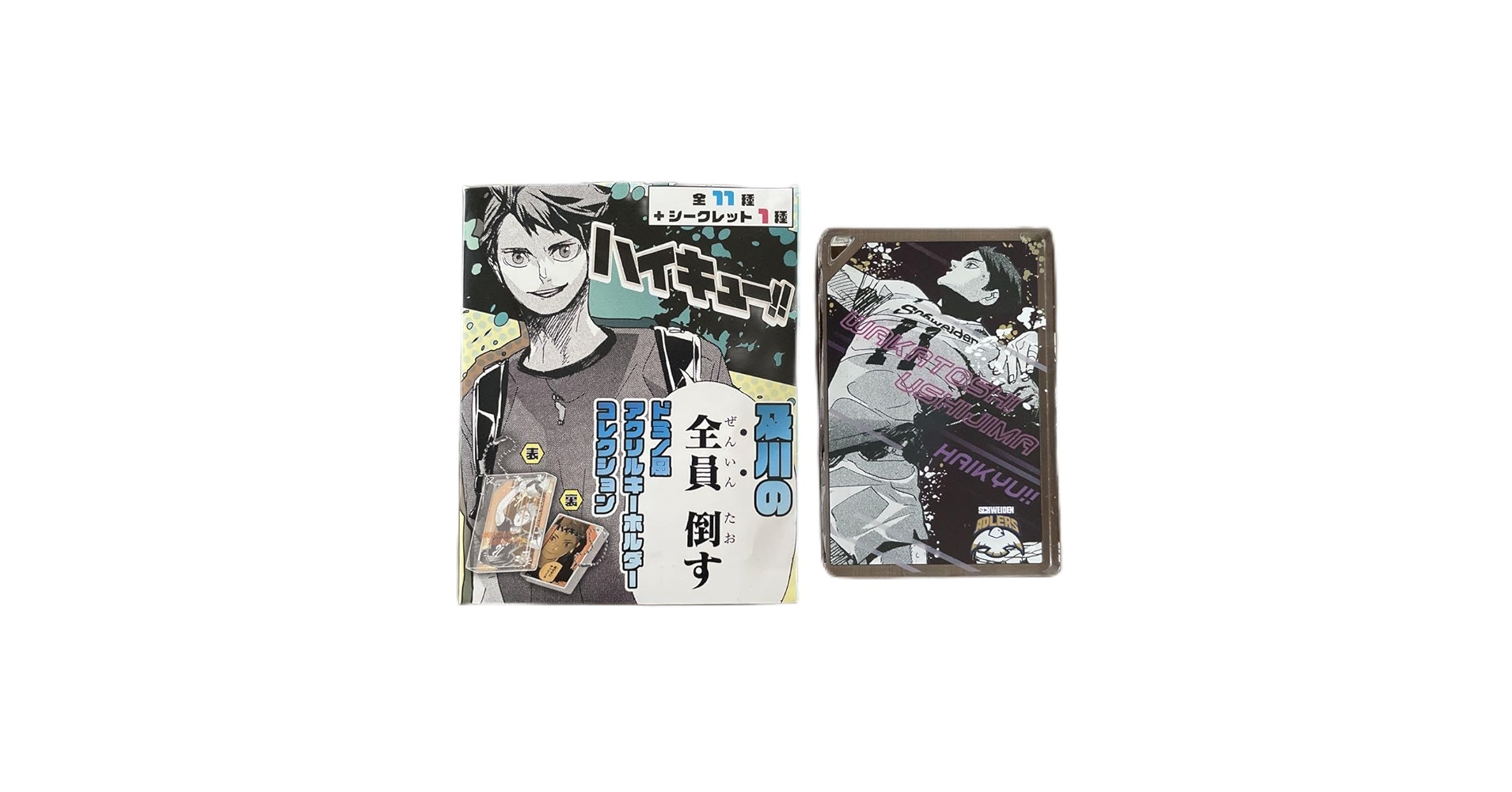 Amazon.co.jp: ハイキュー 及川徹の全員倒す ドミノ風アクリル