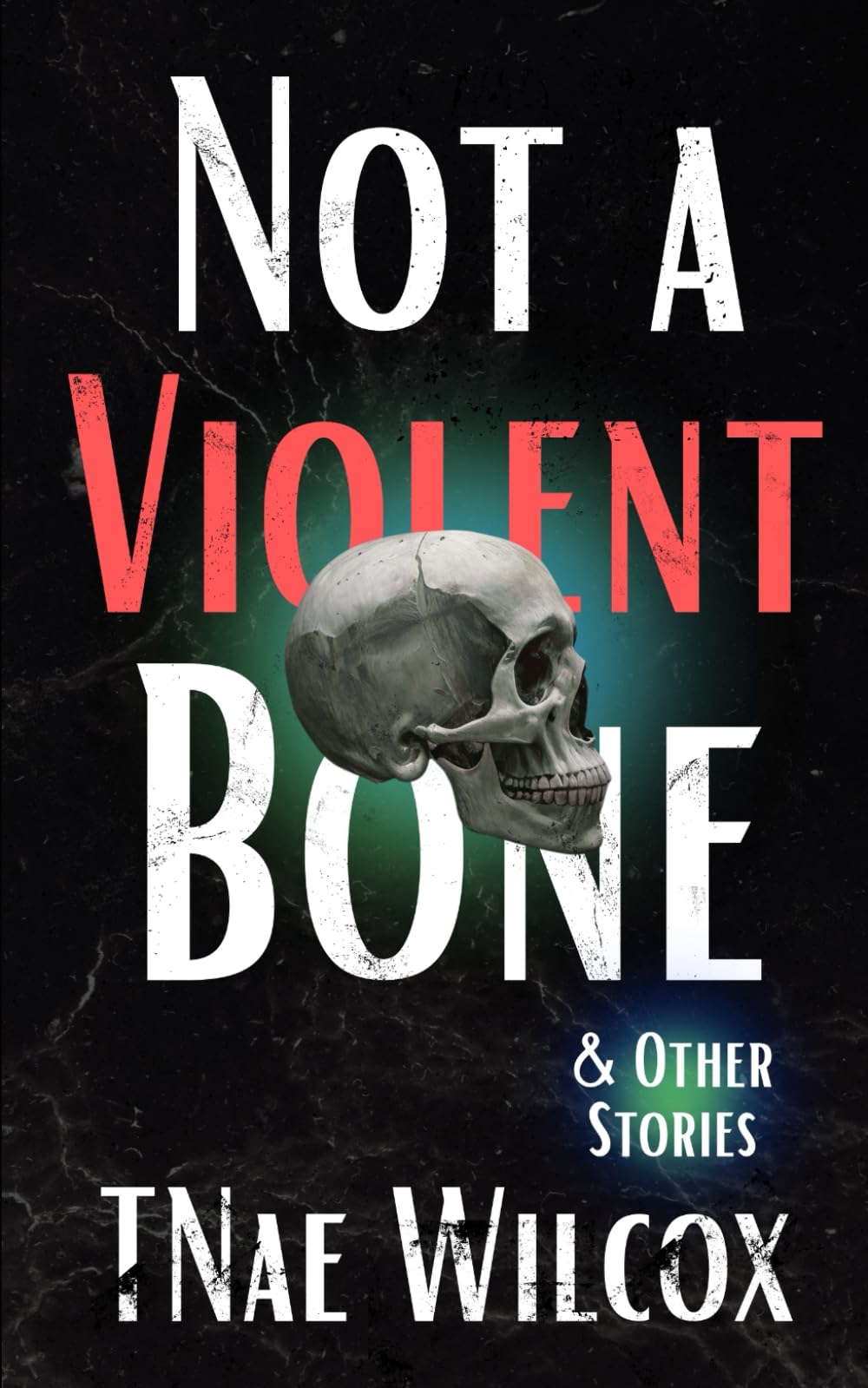 Not a Violent Bone and Other Stories