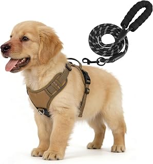 YooxArmor Hundegeschirr Kleine Hunde und Leine Set,Khaki S