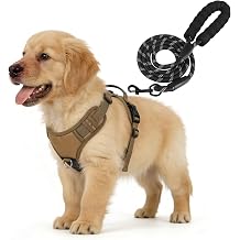 YooxArmor No Pull Tactical Dog Harness and Leash Set for Small Dogs,Khaki | Adjustable Pet Vest Harness, Reflective Easy Control for Night Walking Training