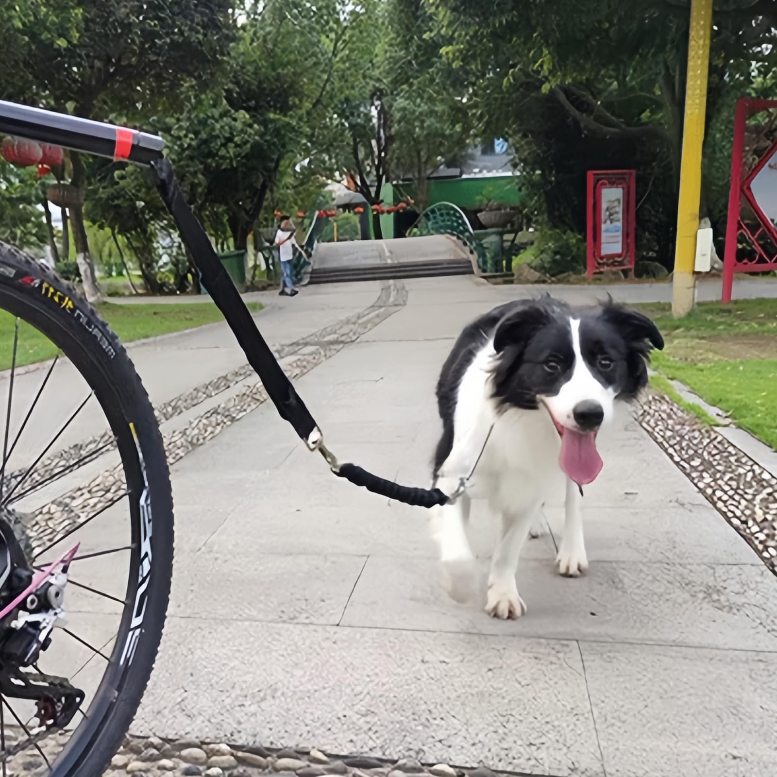 Correa de Bicicleta para Perro Manos Libres Retráctil con Llave Hexagonal y Junta de Goma - Para Entrenamiento
