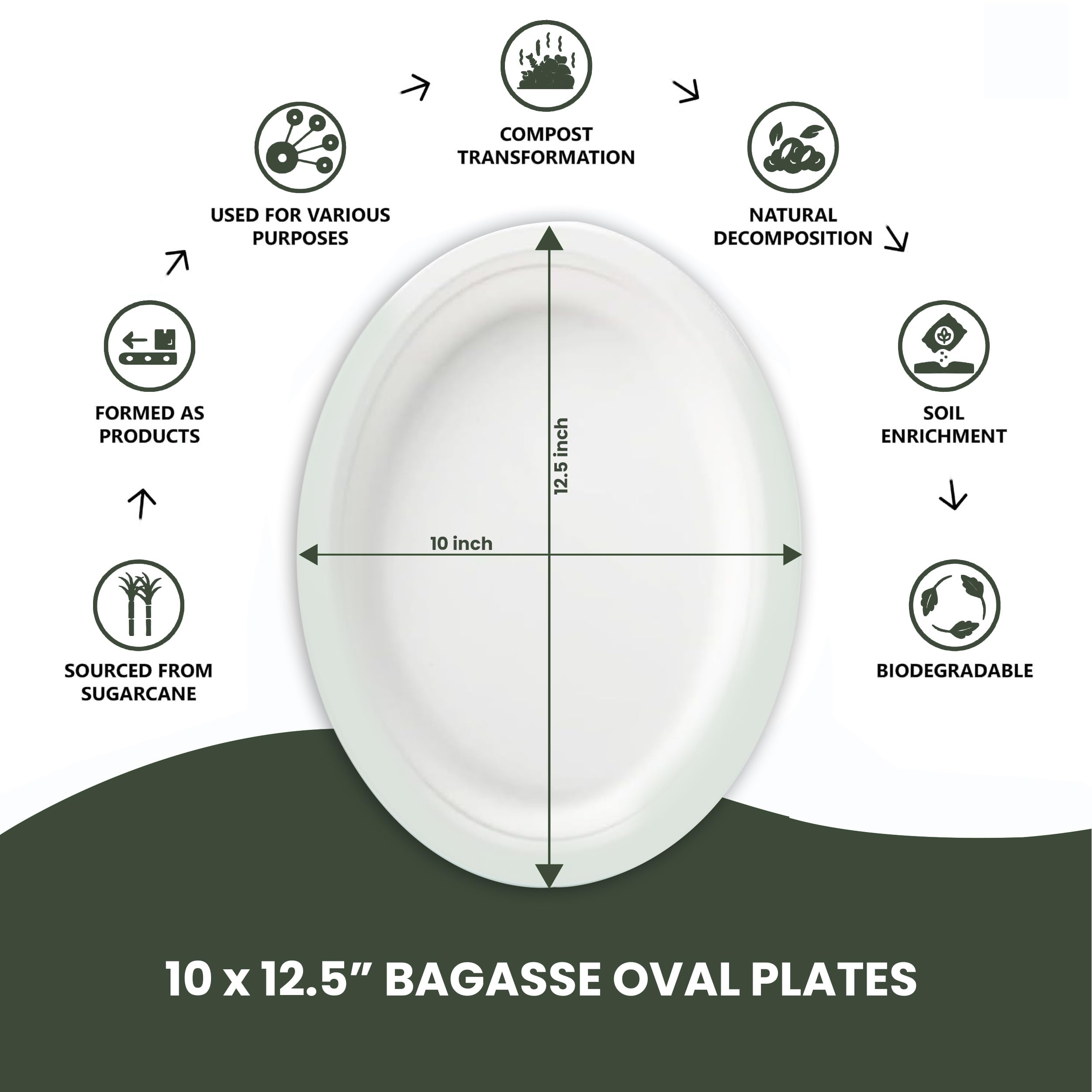 Platos ovalados desechables (250 unidades, grandes), caña de azúcar ecológica, biodegradables, compostables, resistentes, sin BPA, aptos para microondas y congelador, perfectos para fiestas, bodas