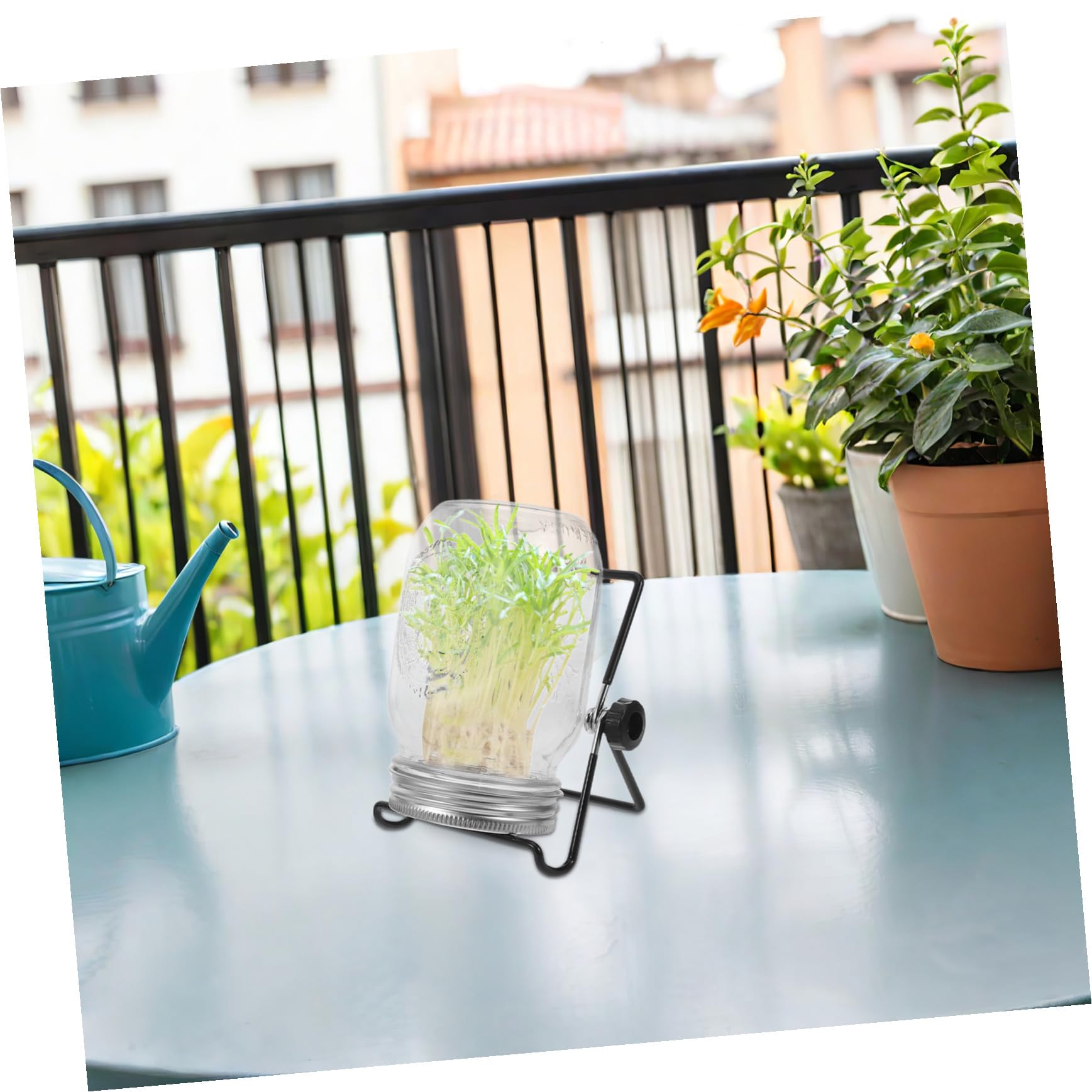 BESTonZON 2ensembles Kit De Germination avec Couvercles Passoire Et Support pour Micro-pousses Bocal De Germination