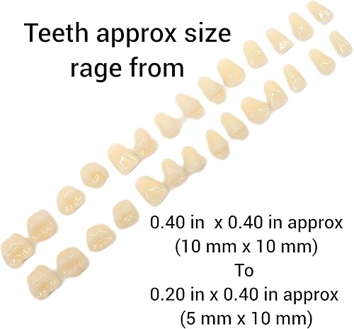 Miniatura 2 de Natucraft Imitation Human Teeth Silicone Mold - Multiple Cavities | Soap | Candle | Wax | Resin - Turquoise - Baking Molds - Food Preparation Mold -