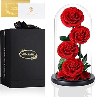 4 Rosa Eternas en Cúpula de Crista, Flores Naturale, Rosa Eterna Natural Preservada, Ideas Rosas Naturales Regalos para Día de la Madre, Día de San Valentín, Aniversario, Mujer, Mamá, Novia(Roja)