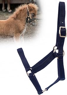 Jeffers Equine Mini Horse Halter – 3/4" Nylon Adjustable Halter for Miniature Horses, Ponies, Under 200 lbs – Heavy Duty H...