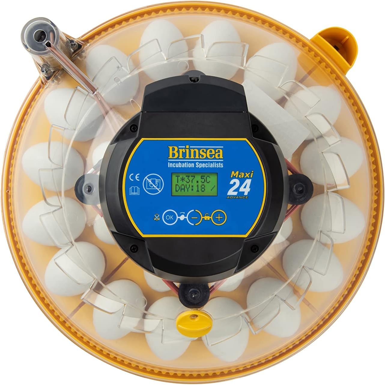 Brinsea Products Maxi 24 Advance Automatic 24 Egg Incubator, Yellow/Blue : Industrial & Scientific