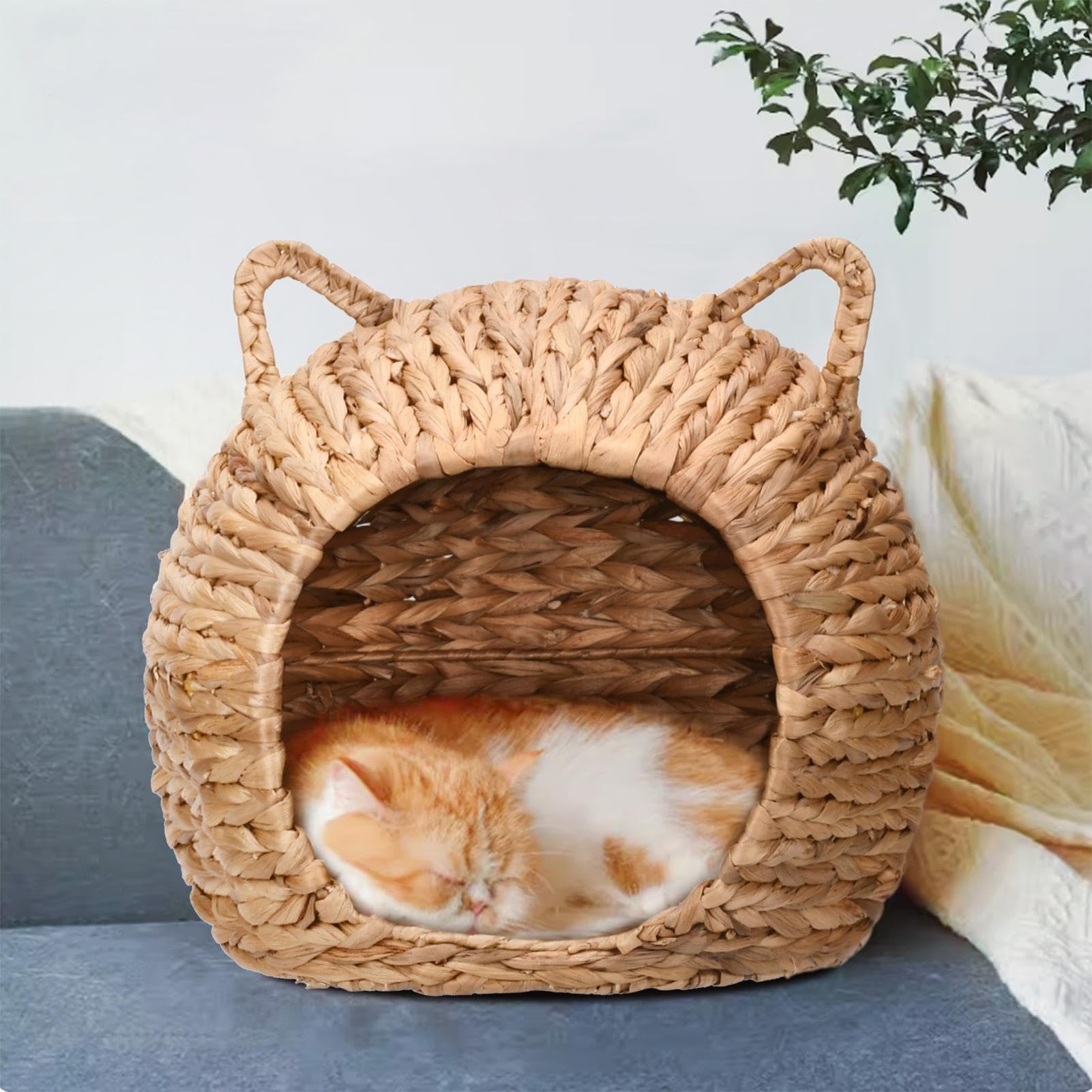 Cuccia per gatti in ,Cuccia per gatti in rattan Cupola per lettino per | Cuccia per gatti sospesa dal design naturale, comfort ecologico e stile, intrecciata a mano sia per uso interno che