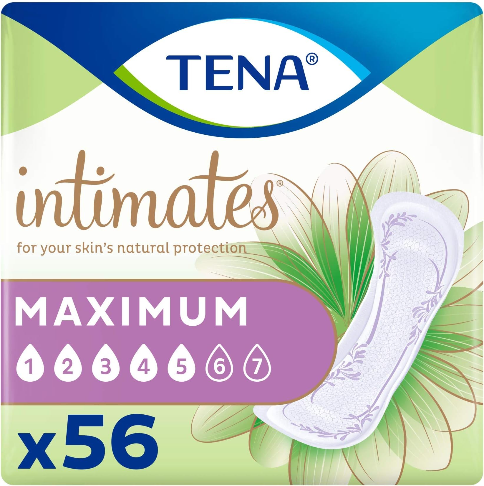 Intimates Maximum Absorbency Incontinence/Bladder Control Pad, Regular Length, 56 Count (Packaging May Vary)