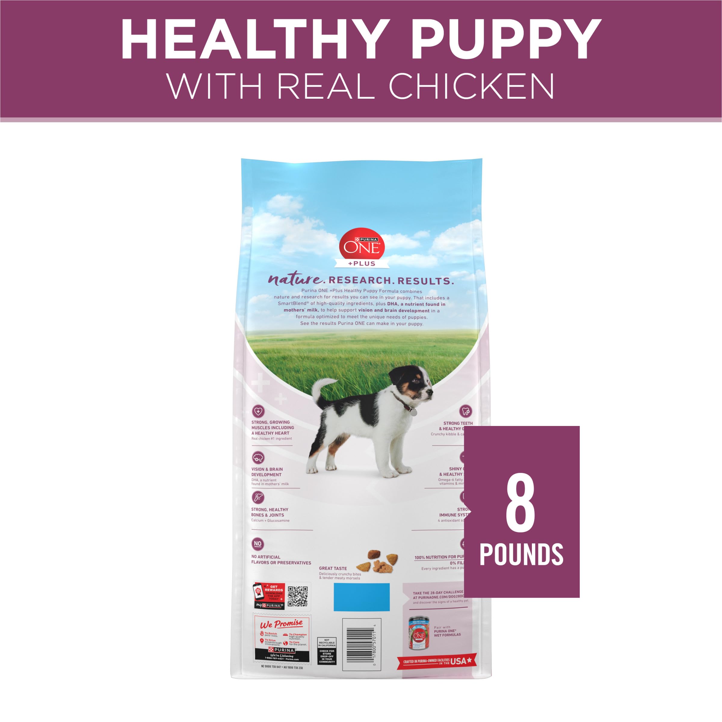 Purina ONE SmartBlend Dry Dog Food, Healthy Puppy Formula, 8-Pound Bag by Purina ONE