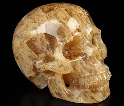 Skullis Calavera de cristal de cuarzo fundido de 5.0 pulgadas, escultura de arte fino de piedras preciosas talladas a mano, estatua de piedra