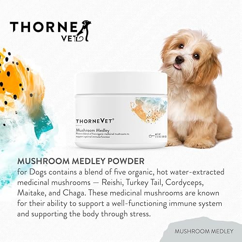 Miniatura 3 de ThorneVet Medley de hongos para perros  Apoyo al sistema inmunológico más antioxidantes  con Reishi, cola de pavo, Cordyceps, Maitake y hongos Chaga