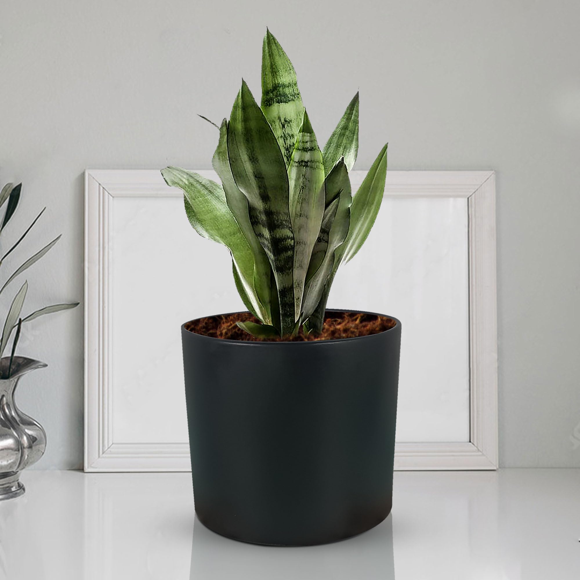 Lasaki Sara 5 inch Black Ceramic Pots for Indoor Plants, Planters, Flower, Pots, gamla,Outdoor,Balcony,Home,Round,Garden, Office Decor,Succulent(H - 13 X D - 14 cm)(Plants not Included) (B0C7BSWPS9) Amazon Price History, Amazon Price Tracker