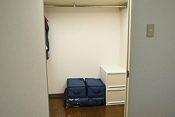 Amazon｜帝人フロンティア 乾っとパックプレミアム 収納ケース 2