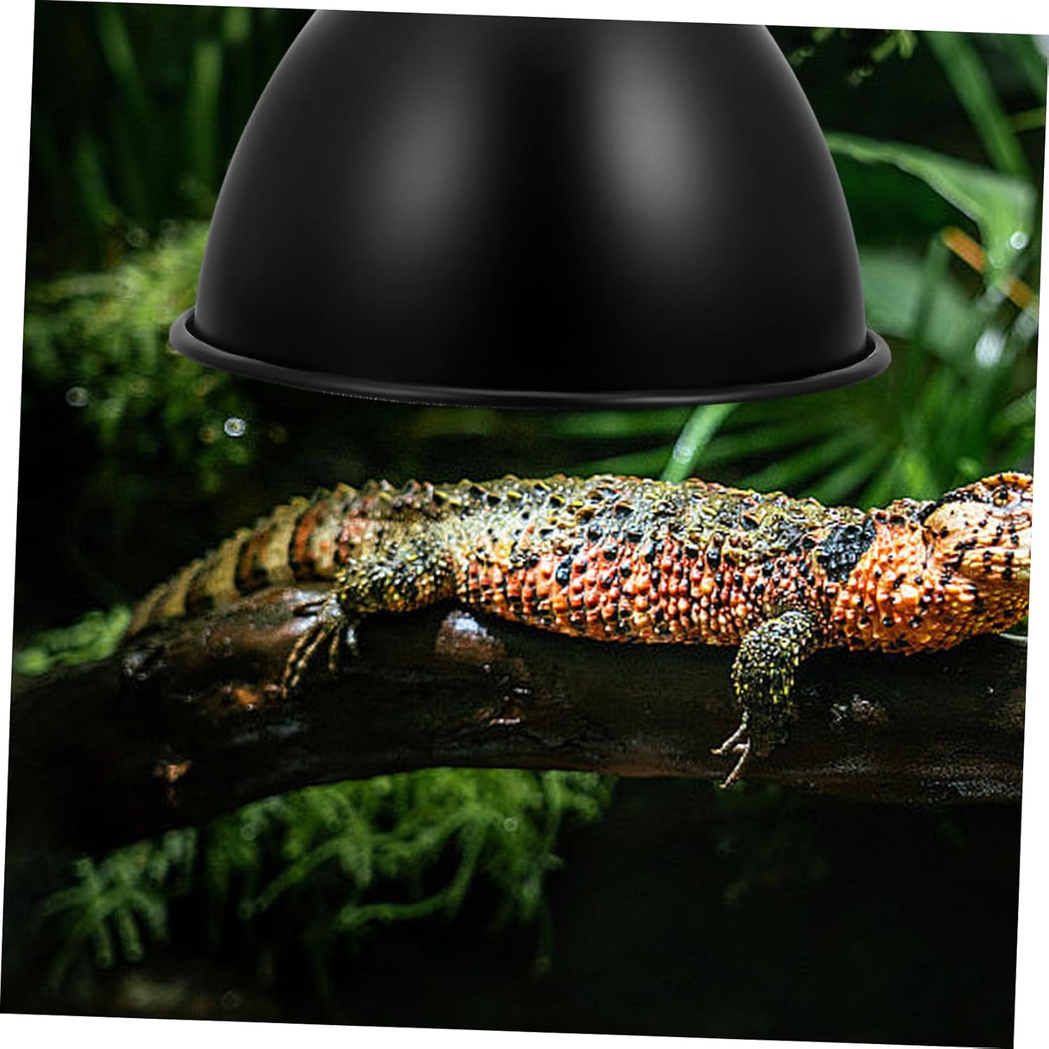 Cabilock 5pcs Reptile Tank Heat Lamp Shade Insulated Reflector for Optimal Light Utilization Easy Installation Fits Standard Reptile Light Fixtures for Lizards and Turtles