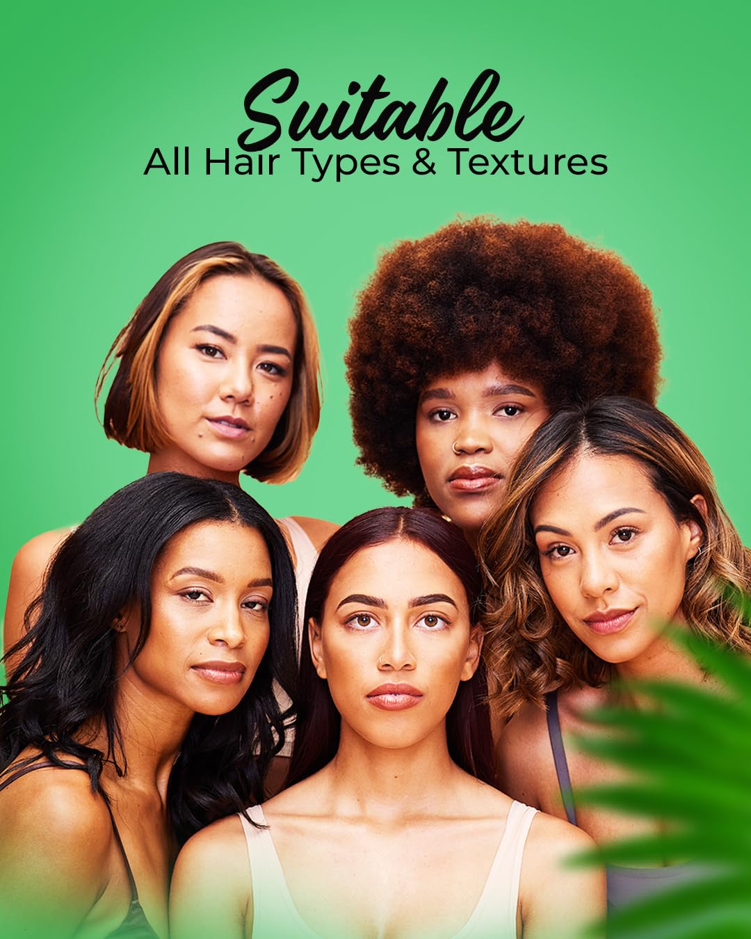 Mavid Natural Ambunu Leaves 50g Pack | African Herbal Treatment for Hair Care & Growth | Pure Conditioner & Shampoo - Soften & Detangles | Traditional Scalp Repair