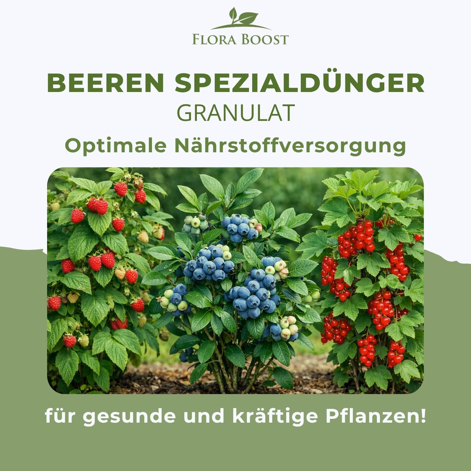 Flora Boost PRO Beeren Dünger mit Langzeitwirkung, 5KG Granulat