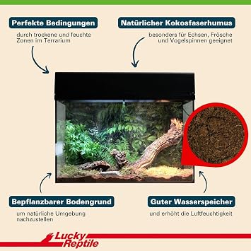 Lucky Reptile HB-M Humus Brick 1 Kg
