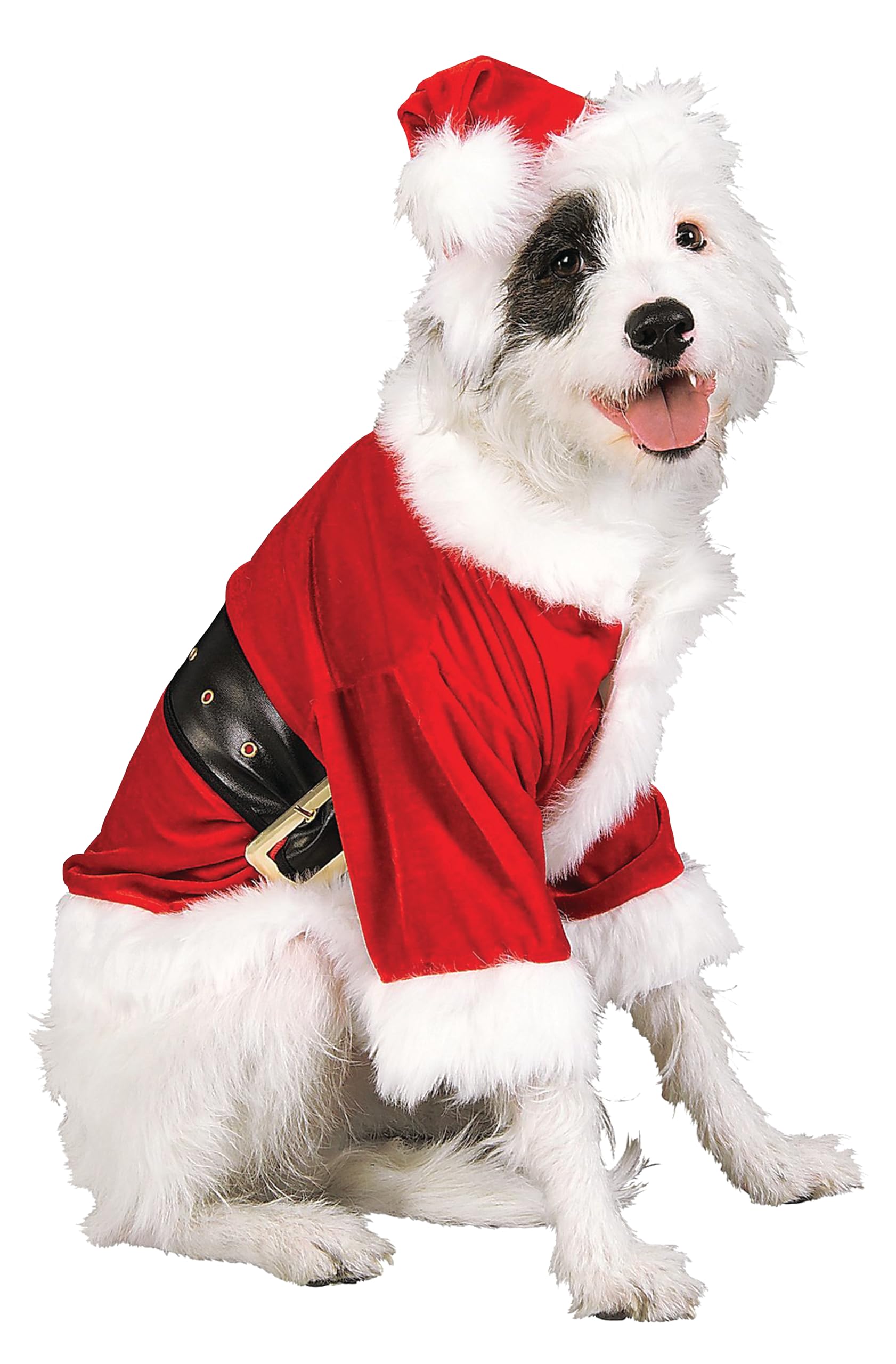 Amazon.com : Rubies Santa Claus Pet Costume for Dogs or Cats, Small : Dog  Christmas Clothes : Pet Supplies