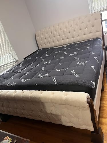 Review Image by Amazon Customer