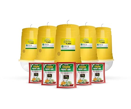 Chipku Melonfly Glass Trap phermone Trap for bactocera Cucurbitae/Insect Trap for Orchards and Climer Crops with pheromone Lure Combo Pack of 5