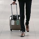 2 Pack PU Leather Luggage Tags for Suitcase, Travel Cruise Luggage Tag with Privacy Flap, Name ID Label and Metal Loop for Women Men Baggage Handbag School Bag Backpack, Leopard Leaves