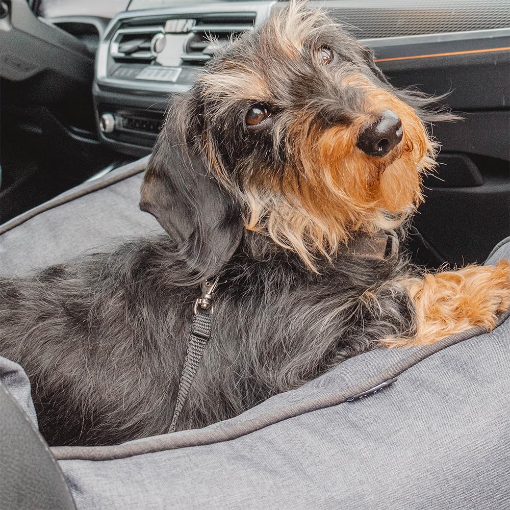 Nobby 61400 Kadek - Asiento para mascotas para Coche