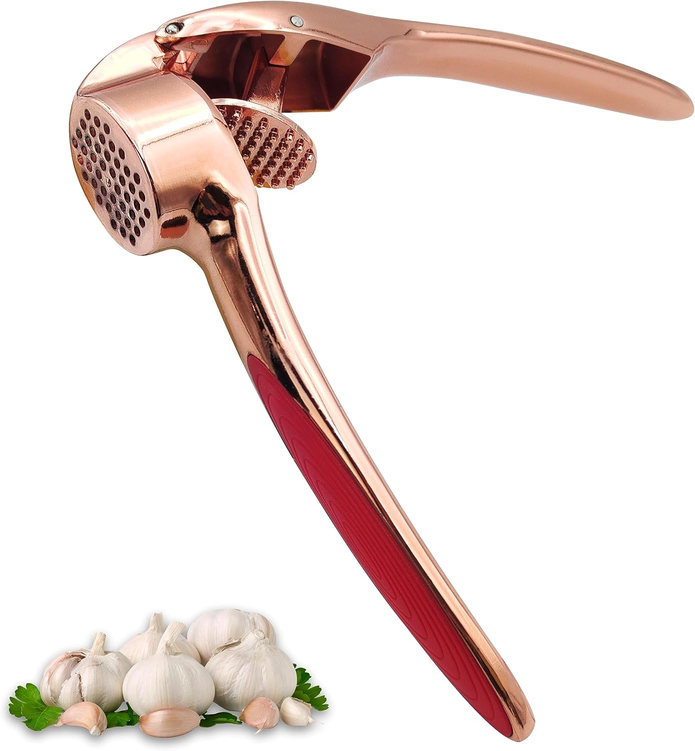 D'Emilia Manual Stainless Steel Garlic Press, Professional Kitchen Ginger Press, Sturdy and Durable, Effortlessly Easy to Clean, Dishwasher Safe, Premium Design