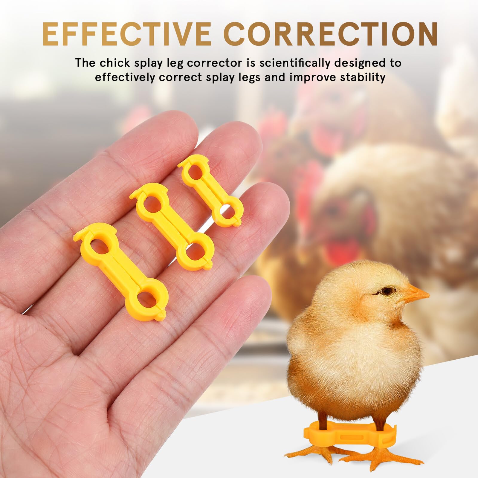 12 Piezas Corrector para Patas de Pollito de Anillos Soporte Científico para Corrección de Patas Abiertas Aves Pequeñas y Pollitos y Fácil de Limpiar