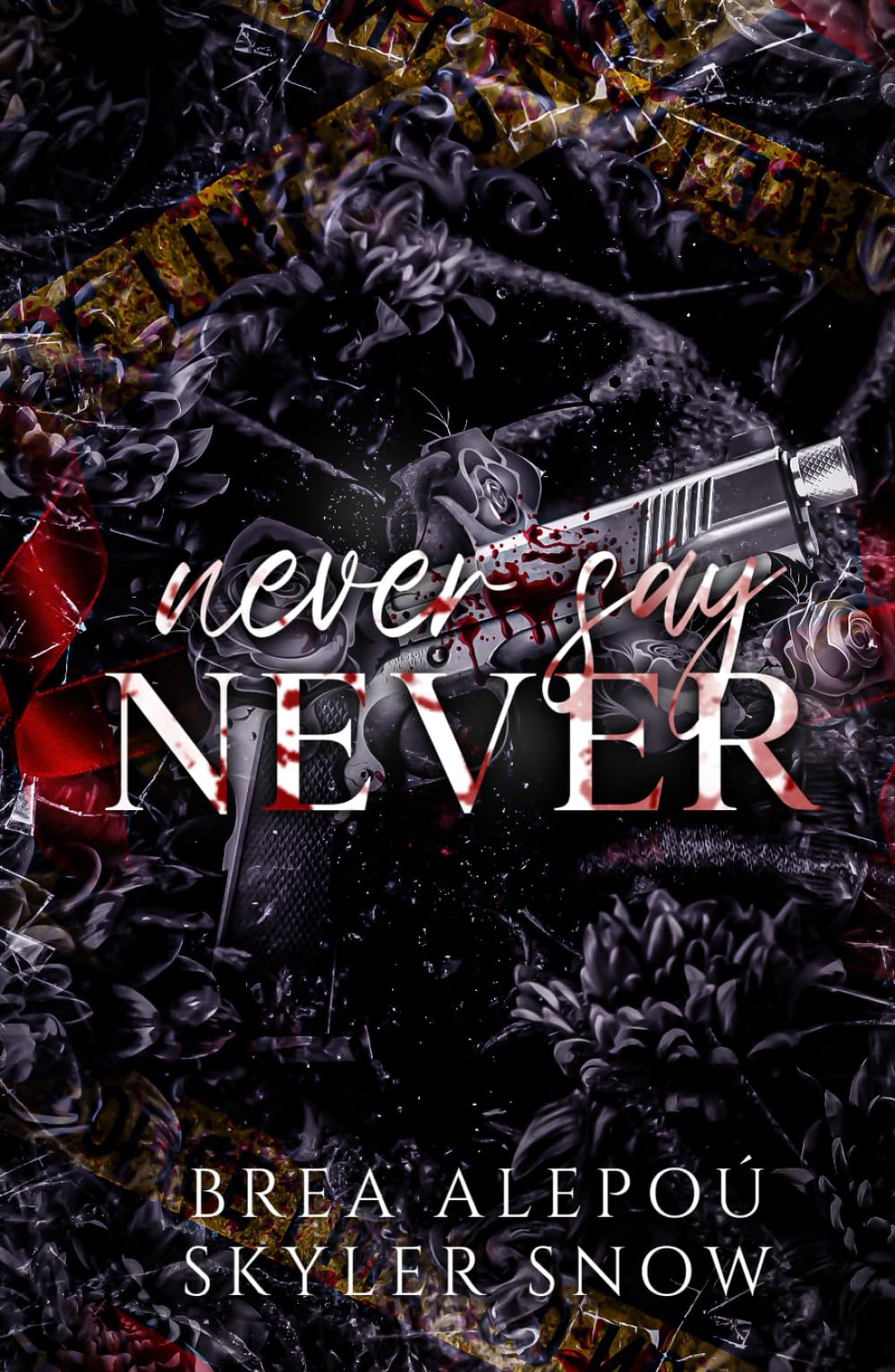 Never Say Never (Vitale Brothers)