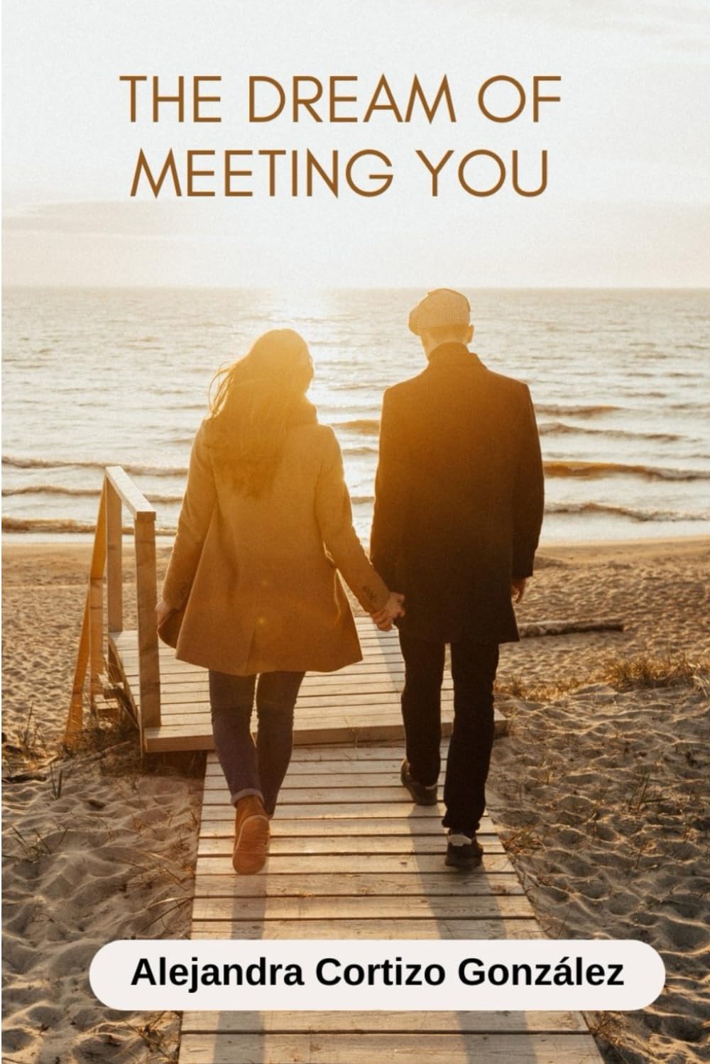 THE DREAM OF MEETING YOU