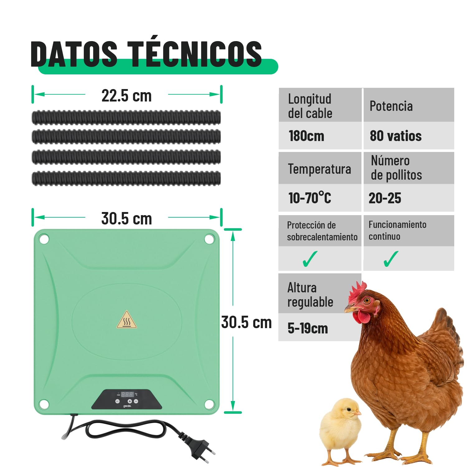 greate Criadora de Pollitos 80 W regulable 10-70 °C con pantalla LED - Calentador para Pajaros altura regulable 30 x 30 cm