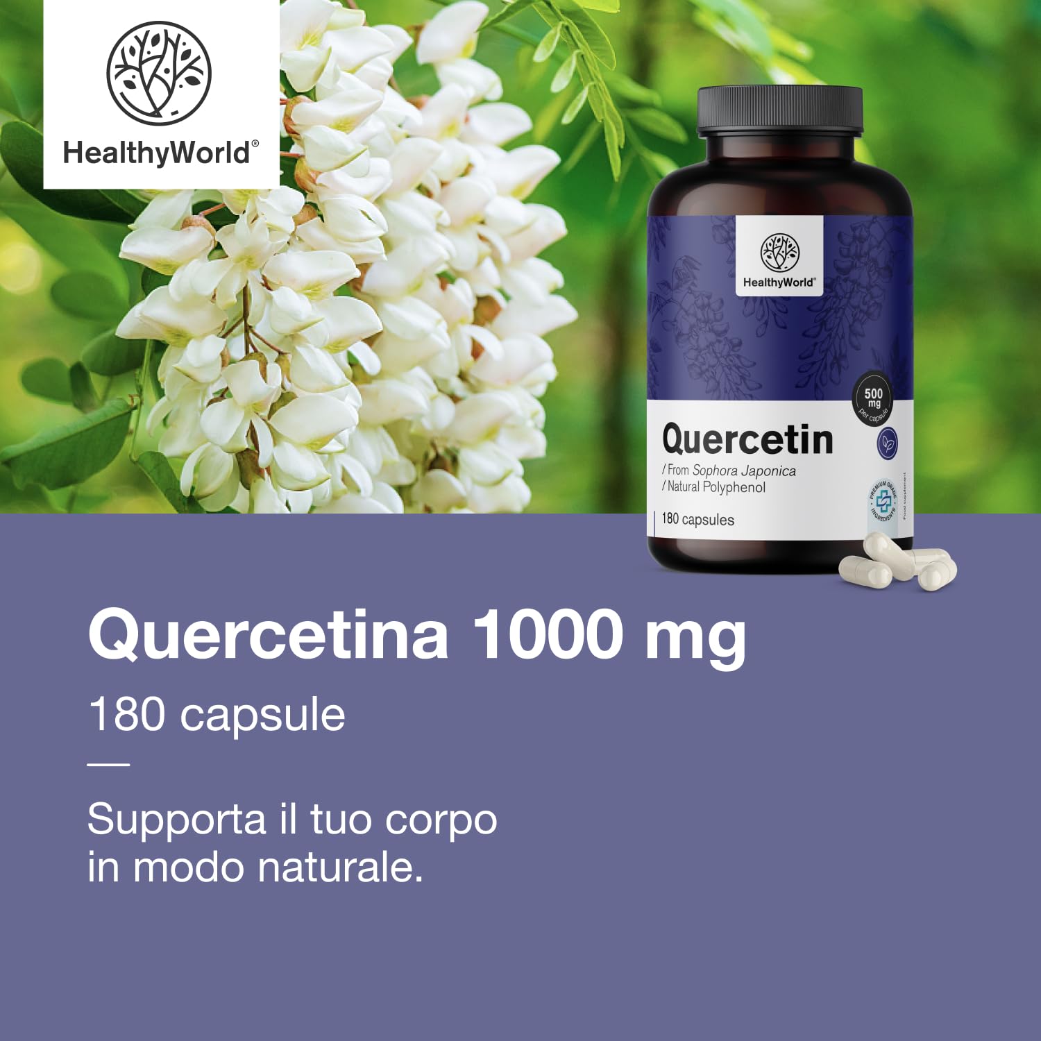HealthyWorld Quercetina 1000 mg – 180 Capsule Vegetali – Dall'estratto dei fiori di sophora del Giappone – Alto Contenuto di 1000 mg per Capsula – Senza OGM e allergeni – Scorta per 3 mesi