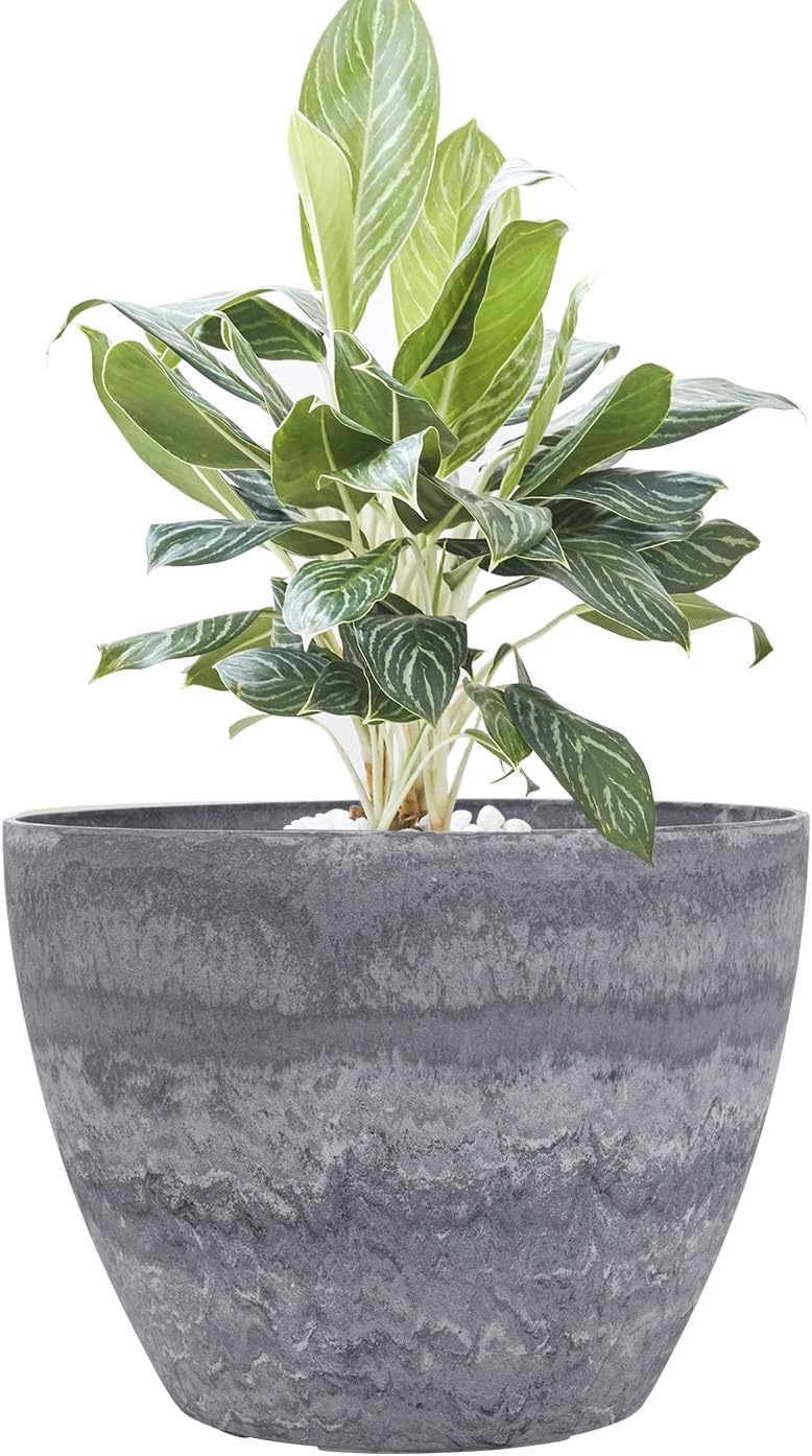 2021 new purchase Garden Pottery Planter in Green and
