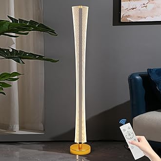 Mikeru 61" Floor Lamp for Bedroom with Remote Control, Dimmable Color Temperature, On/Off Foot Switch, Starry Sky Pattern - Modern Tall Lamp for Office, Classroom