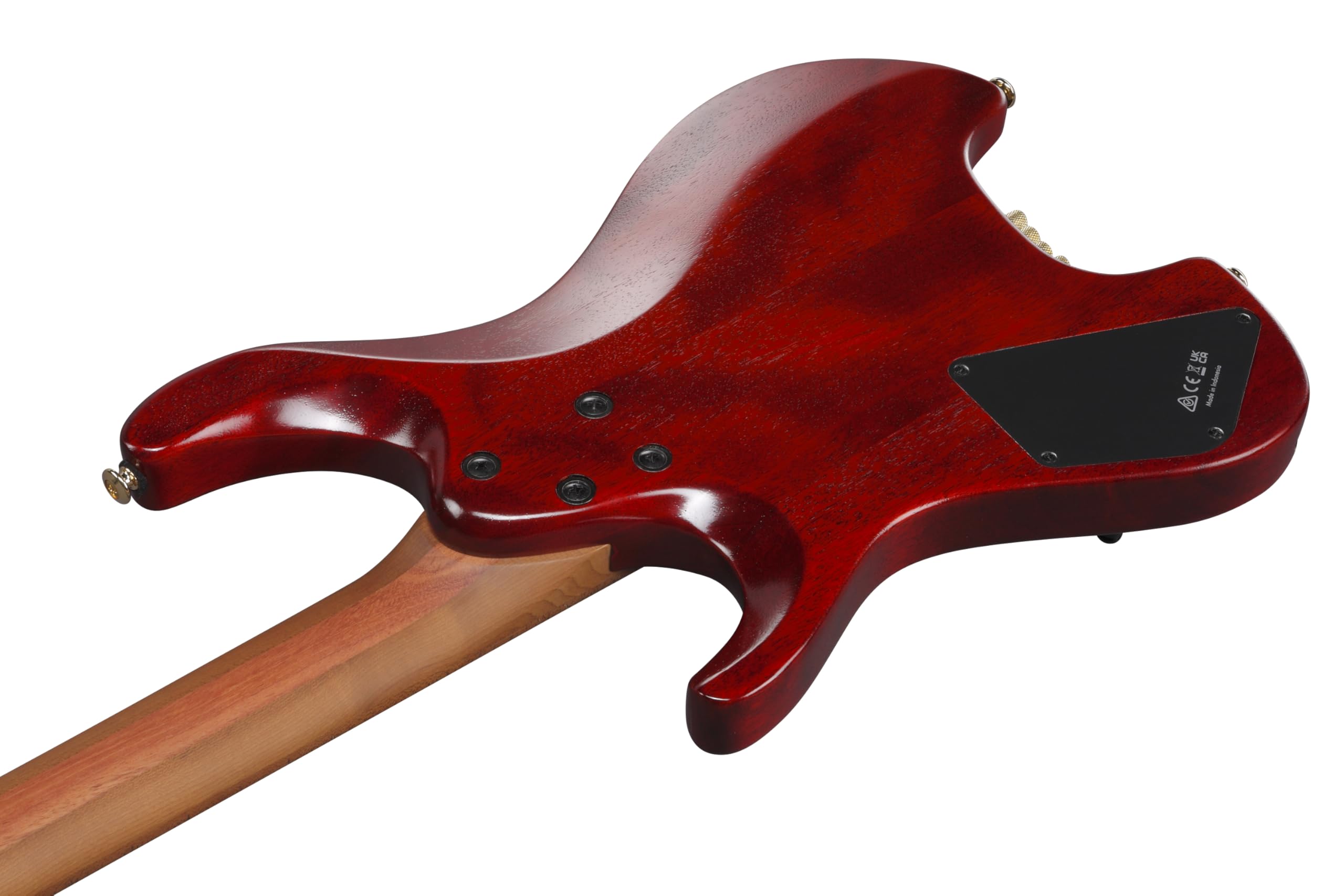 Amazon.com: Ibanez MGFM10 Manuel Gardner Fernandes Signature