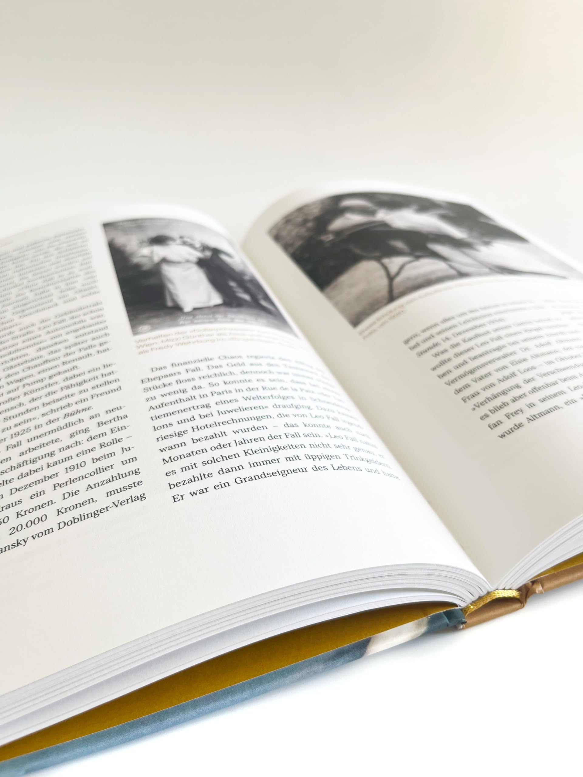 Wiener Villen und ihre Geheimnisse. Glanz und Glamour alter Zeiten (Wien und seine Geheimnisse)