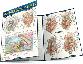 Anatomy Microstructures: a QuickStudy Laminated Reference Guide