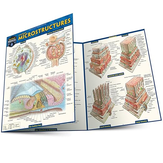 Anatomy Microstructures: a QuickStudy Laminated Reference Guide